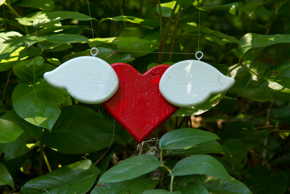 Daniel and Shikha - Walton, OR
